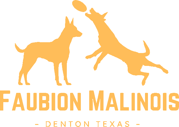 Faubion Malinois